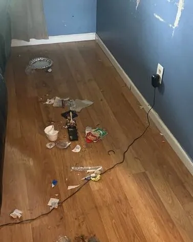 Hardwood Floor before cleaning